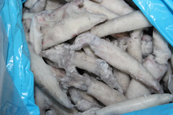 Frozen Squid