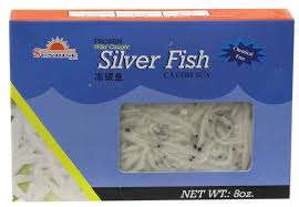 silver fish