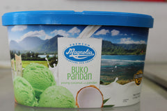 Magnolia Buko Pandan ice Cream