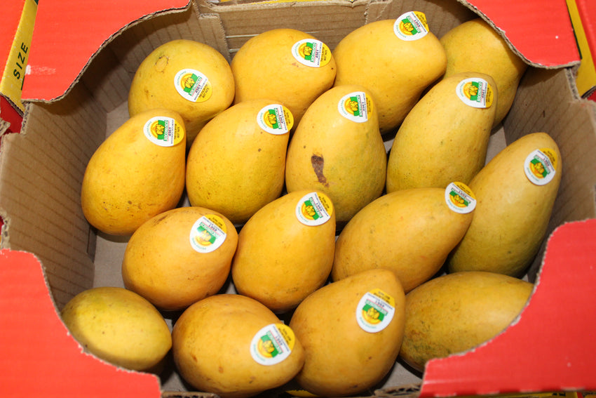 manila mango