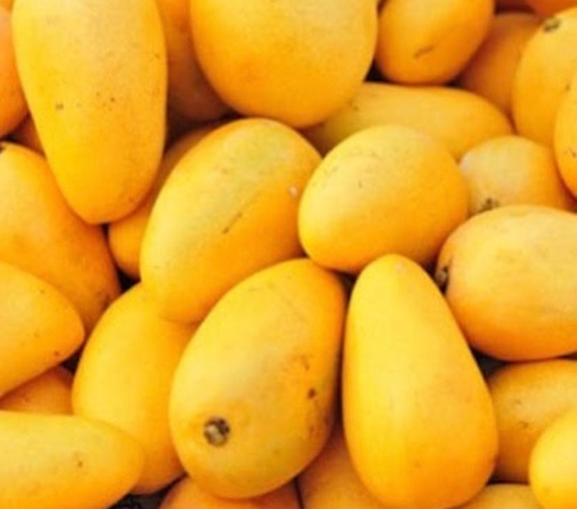 box of manila mango – Phil Am Market