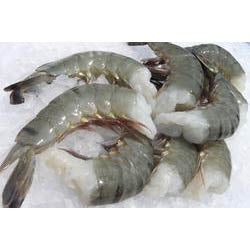 Shrimp Headless box 4 lb size 36/40